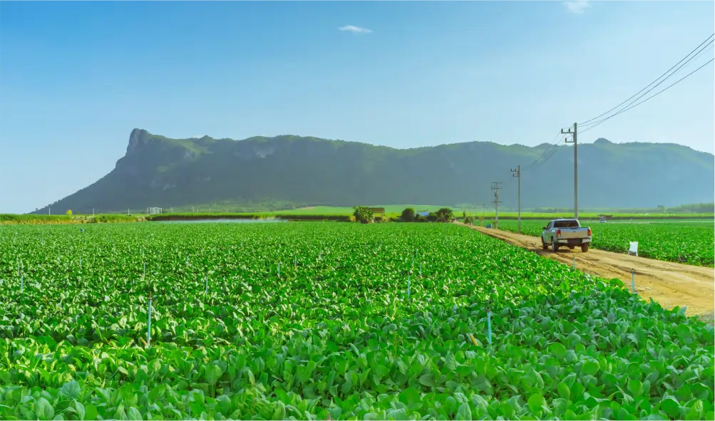 Remote Access Control for Farms & Smallholdings