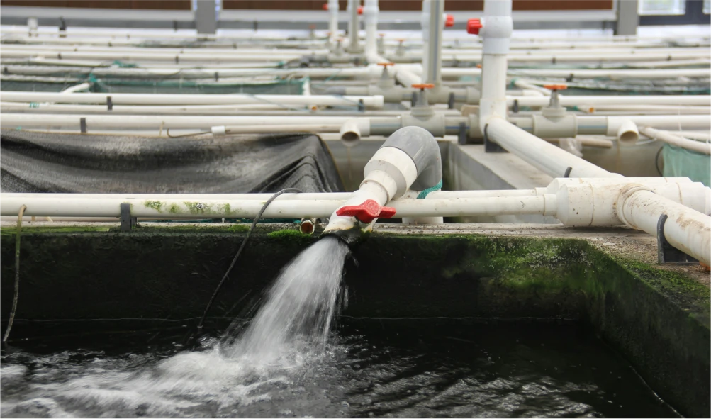 Waste Water Management Pump Monitoring