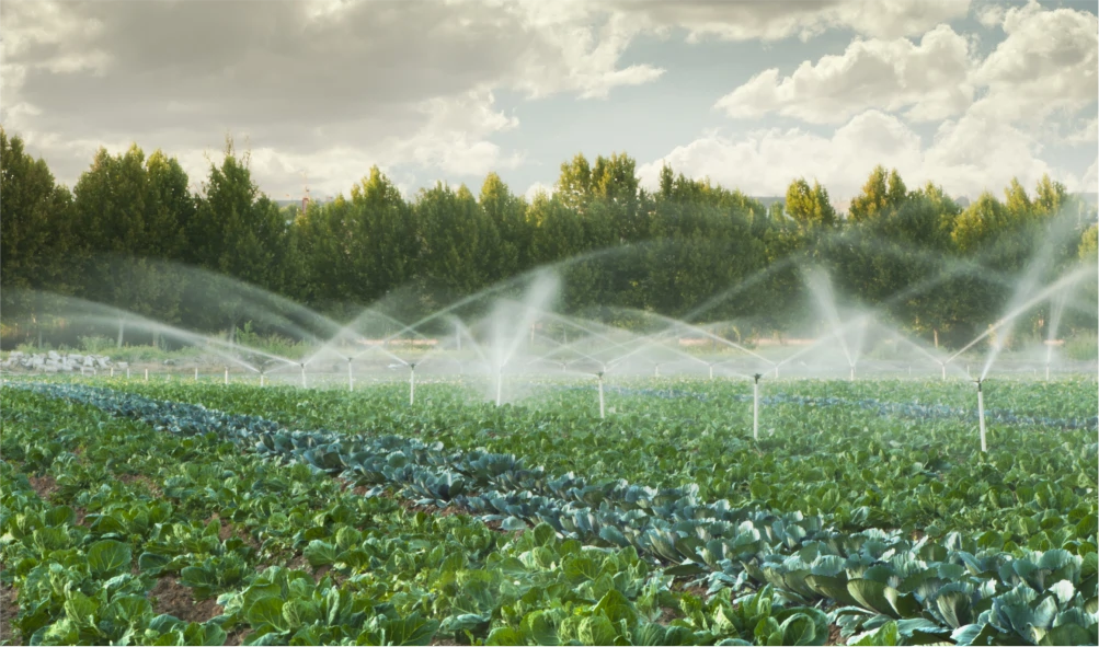 Water Management for Agriculture with GSM Commander